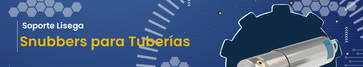 titulo-flexilatina-lisega-3